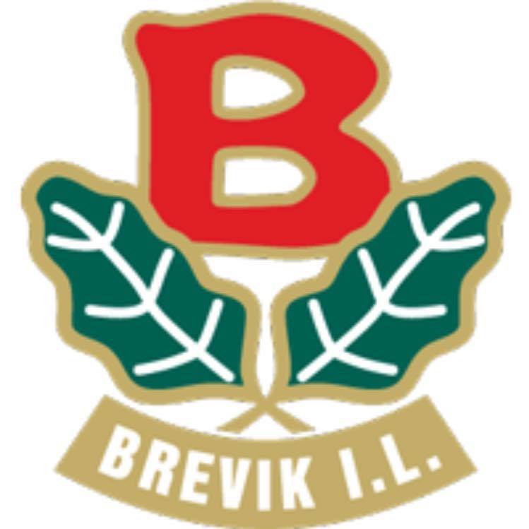 logo bilde Brevik Idrettslag
